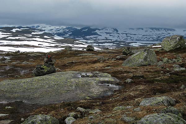 Hardangervida_2007-017