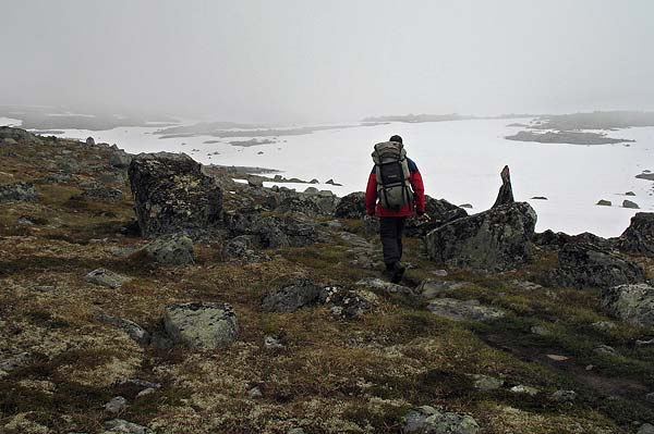 Hardangervida_2007-020