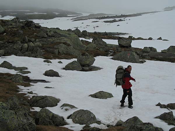 Hardangervida_2007-021