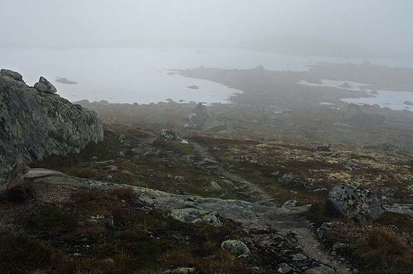 Hardangervida_2007-023