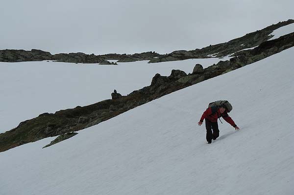 Hardangervida_2007-024