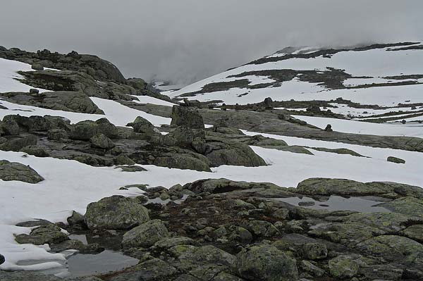 Hardangervida_2007-030