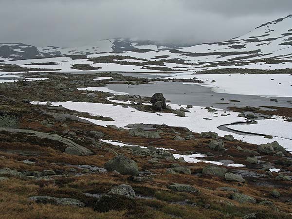 Hardangervida_2007-035
