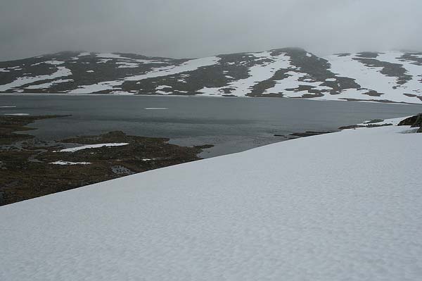 Hardangervida_2007-039