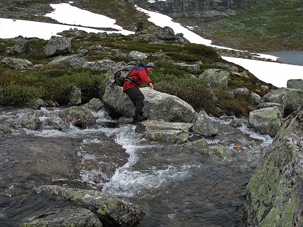 Hardangervida_2007-043