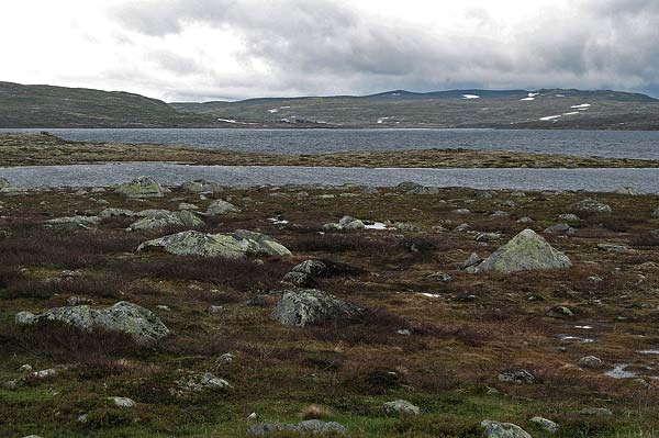 Hardangervida_2007-045