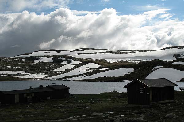 Hardangervida_2007-051