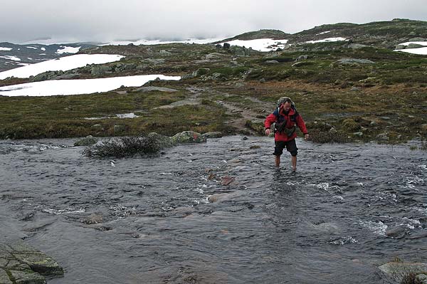 Hardangervida_2007-060