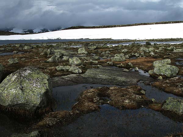 Hardangervida_2007-078