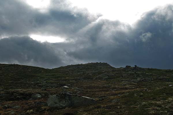 Hardangervida_2007-079