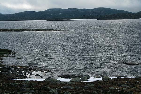 Hardangervida_2007-083
