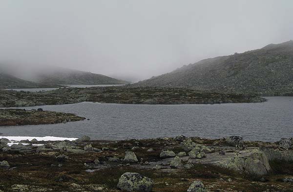 Hardangervida_2007-088