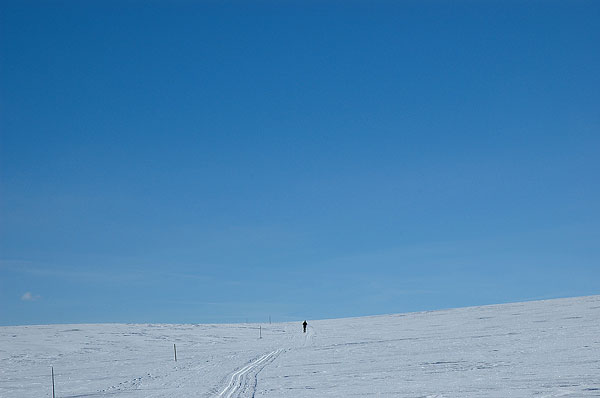 Noorwegen-langlauf-210