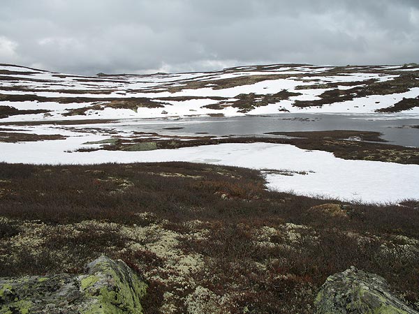 Noorwegen_2006-01